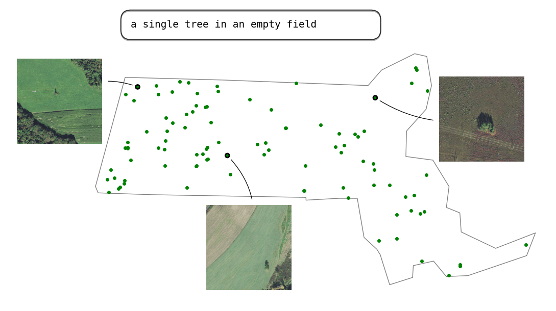 An outline of the state of Massachusetts with several locations noted on the map depicting a single tree in an empty field.