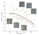 A scatter plot depicting principal component 1 against days of the year. There are six aerial images overlayed to show how the image changes across the plot. 