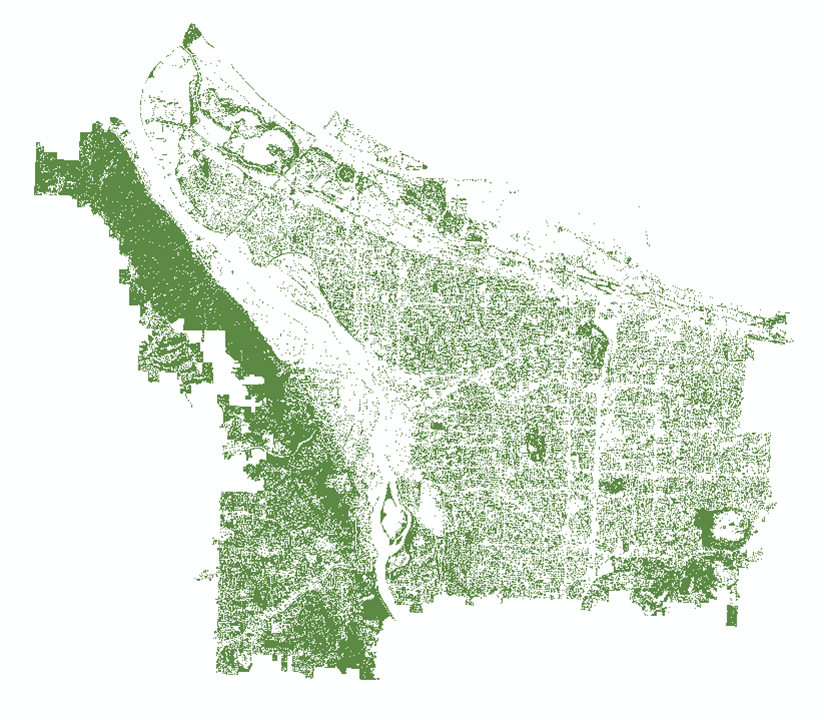The output canopy layer from the NAIP imagery after post-classification smoothing and masking.